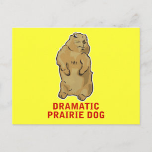 Dramatic Prairie Dog Postcard