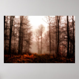 Dramatic red foggy winter snowless forest poster