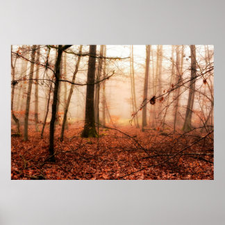 Dramatic red foggy winter snowless forest poster