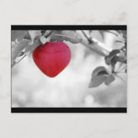 Dramatic Red Heart Shaped Apple