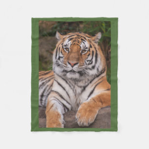 Dramatic Resting Tiger Fleece Blanket