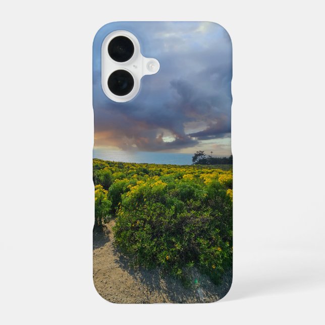 Dramatic Skies at Sunset at Point Dume iPhone 16 Case (Back)
