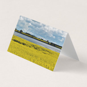 Dramatic Streatham Beauty Blank Greeting Card