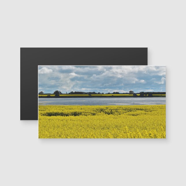Dramatic Streatham Beauty Magnetic Card (Front/Back)