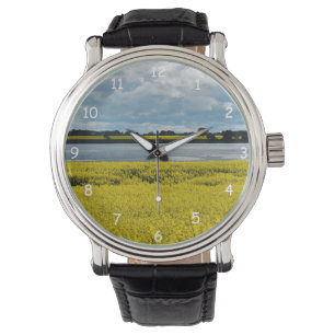 Dramatic Streatham Beauty  Watch
