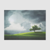 Dramatic summer thunderstorm & scenic landscape
