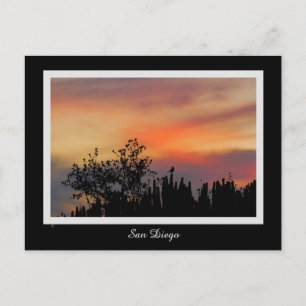 Dramatic Sunset Bird San Diego Pink Orange Postcard