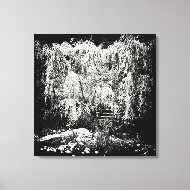 Dramatic Weeping Willow Tree Over River Bank Canvas Print (Front)