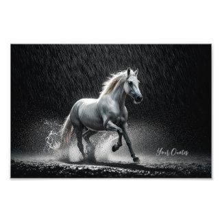 Dramatic White Horse Galloping in Rain Photo Print