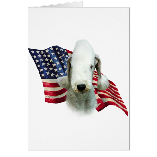 Drapeau Bedlington Terrier (Devant)