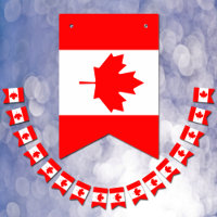 Drapeau canadien et Parti Canada Bannières / Maria