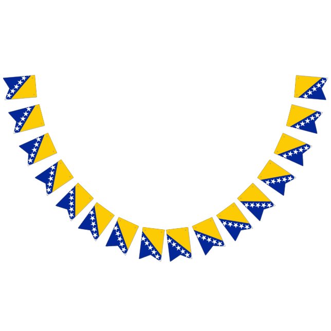 Drapeau de Bosnie-Herzégovine (Tout)