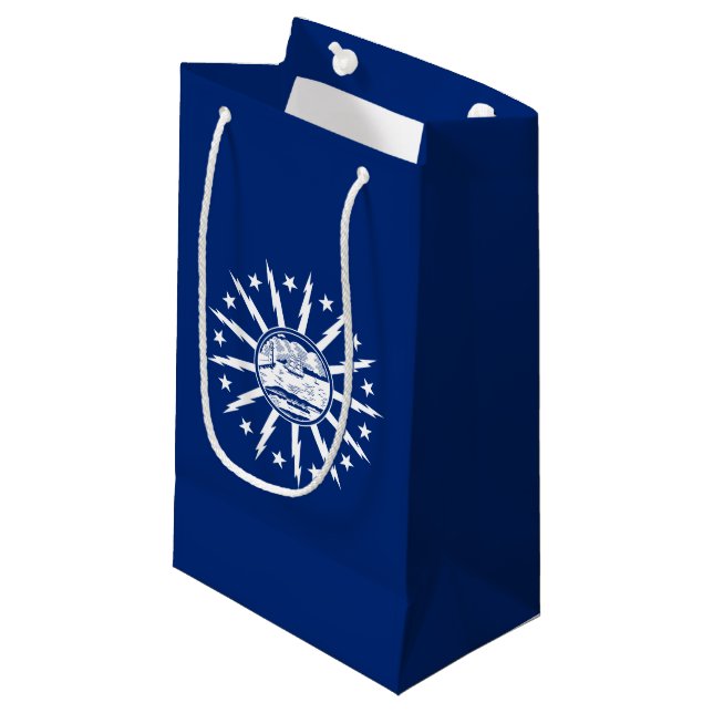Drapeau de Buffalo, New York Petit sac cadeau (Devant Angle)