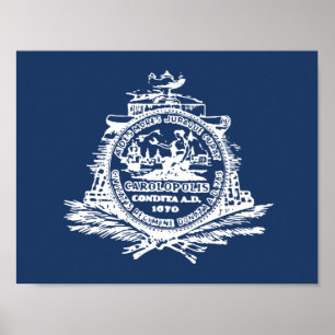 Drapeau de Charleston, affiche de Caroline du Sud