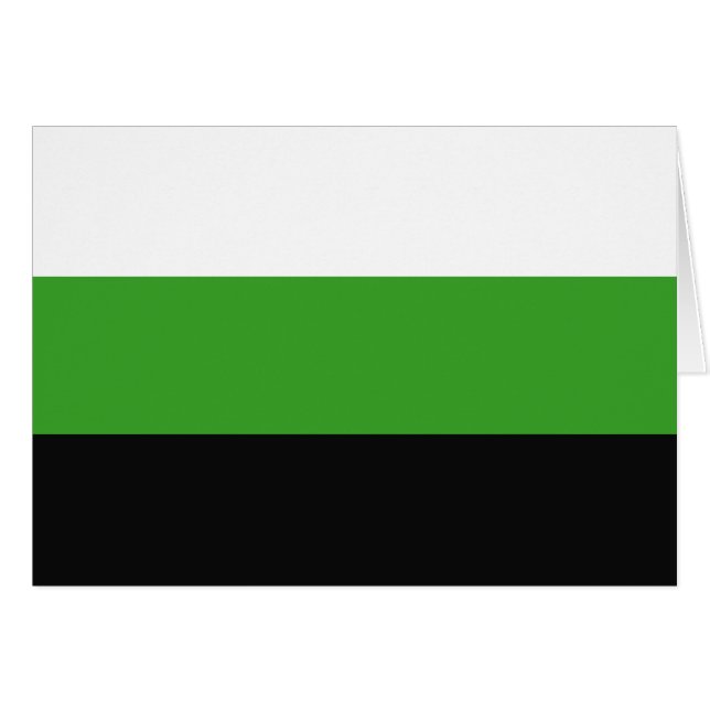 Drapeau de fierté Neutrois (Devant horizontal)