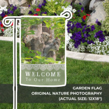 Cute Squirrel Famille Russe Accueil Accueil