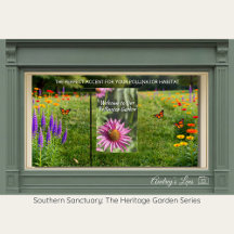 Jardin de pollinisateurs Bienvenue | Prairie de fl