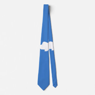 Drapeau de la Cravate Antarctique