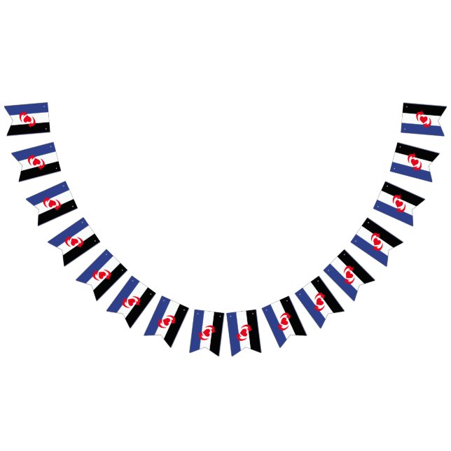 Drapeau de la fierté Switch (Tout)