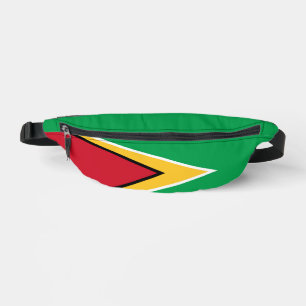 Drapeau de la Guyane