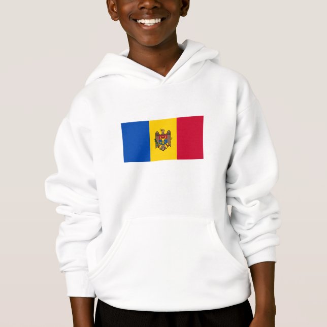 Drapeau de la Moldavie (Devant)