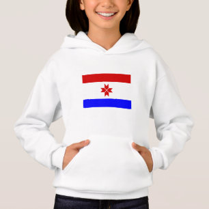 Drapeau de la Mordovie