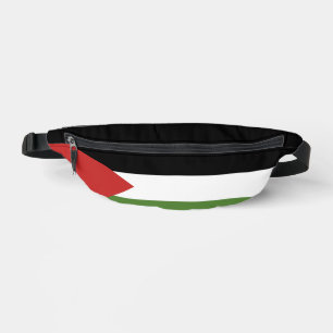 Drapeau de la Palestine