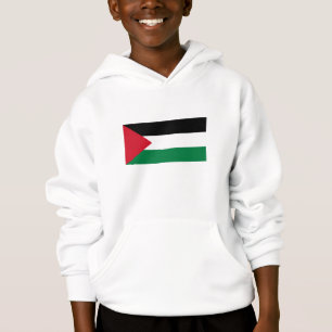 Drapeau de la Palestine