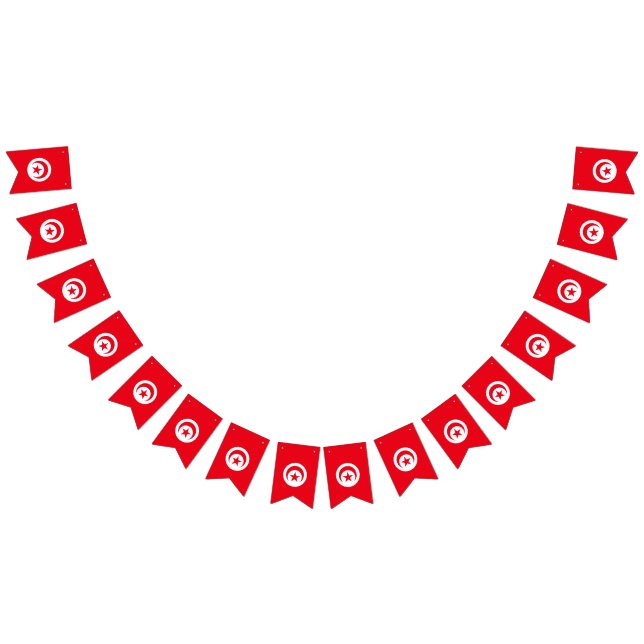 Drapeau de la Tunisie (Tout)