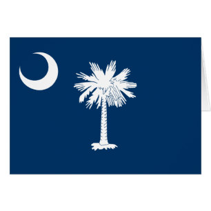 Drapeau de l'État de Caroline du Sud