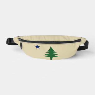 Drapeau de l'État du Maine avec pin et étoile 1901