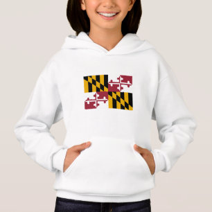 Drapeau de l'État du Maryland