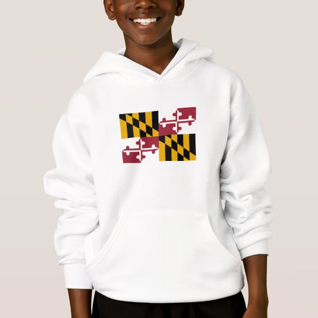 Drapeau de l'État du Maryland (Devant)