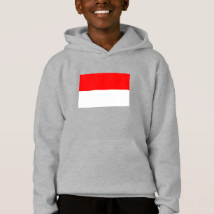 Drapeau de l'Indonésie