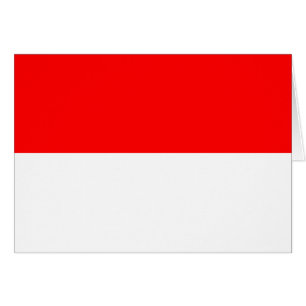 Drapeau de l'Indonésie