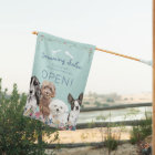 Adorable Turquoise Open Chig Grooming Salon