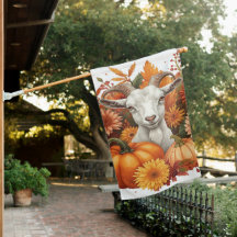 Chèvre avec fleurs d'automne & Citrouille