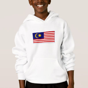 Drapeau de Malaisie