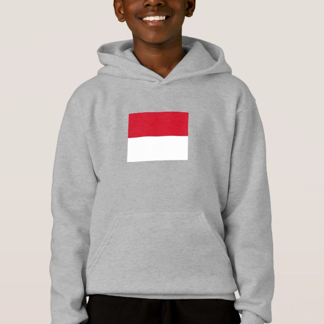 Drapeau de Monaco (Devant)