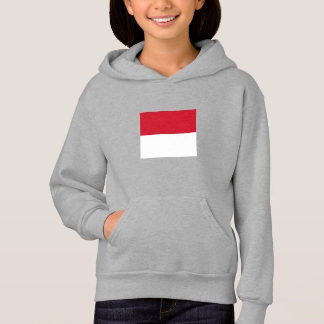 Drapeau de Monaco (Devant)