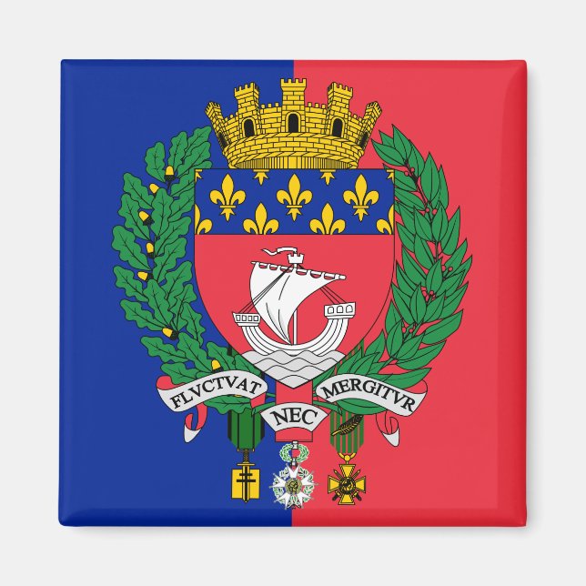 Drapeau de Paris, France Magnet (Devant)