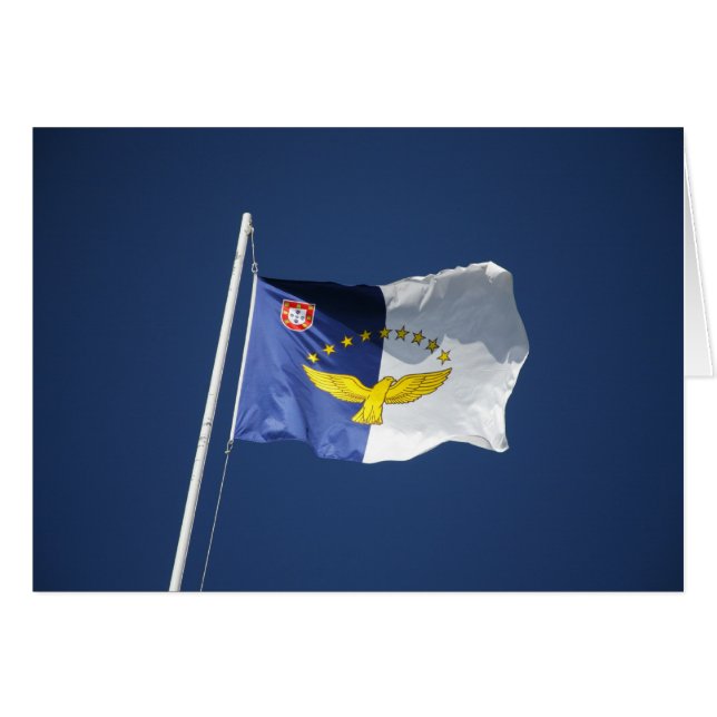 Drapeau des Açores (Devant horizontal)