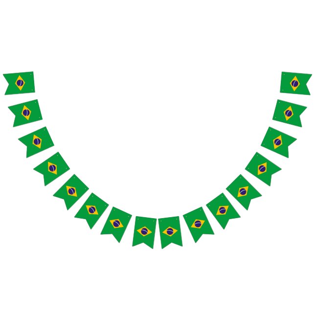 Drapeau du Brésil (Tout)