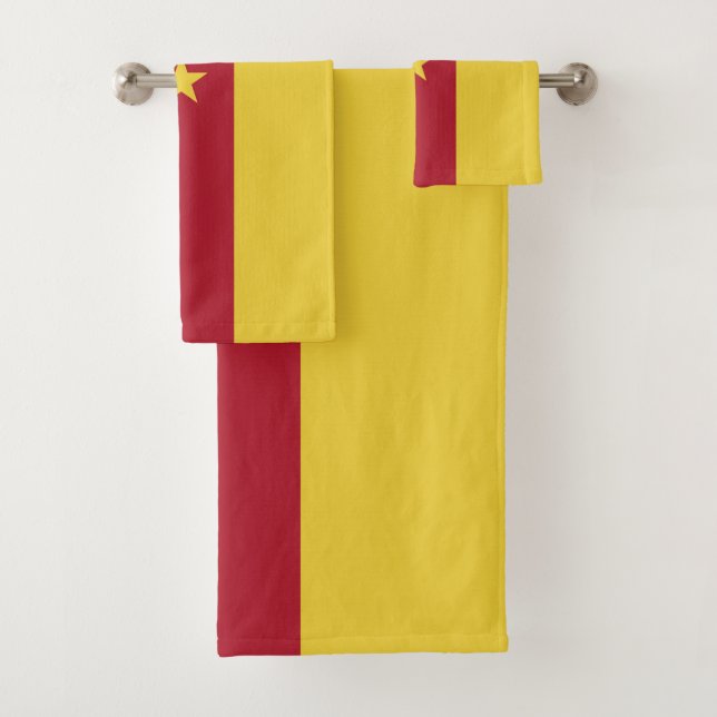 drapeau du Cameroun (En situation)