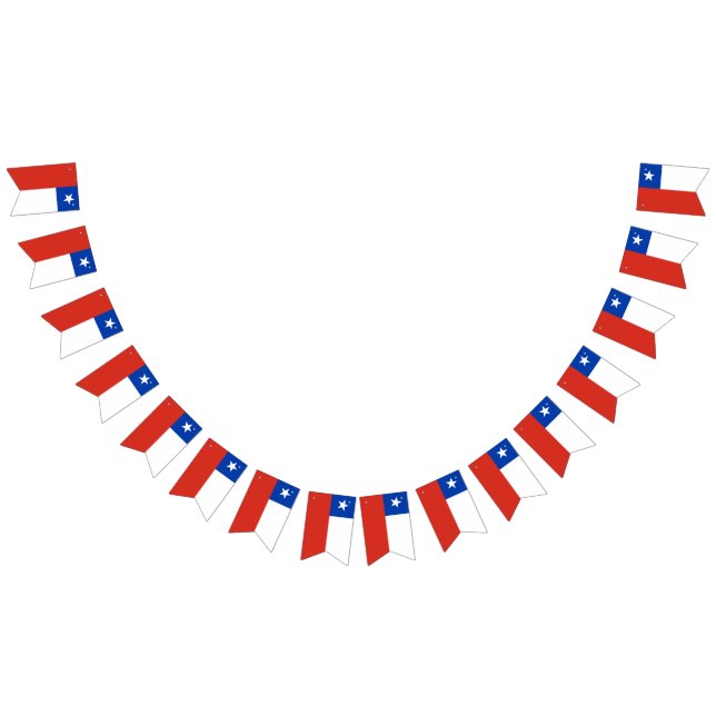 Drapeau du Chili (Tout)