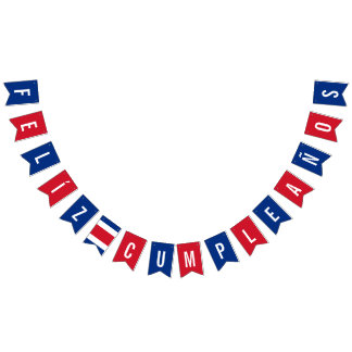Drapeau du Costa Rica Décorations de fête d'annive