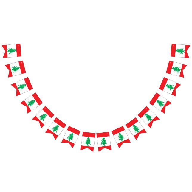 Drapeau du Liban (Tout)