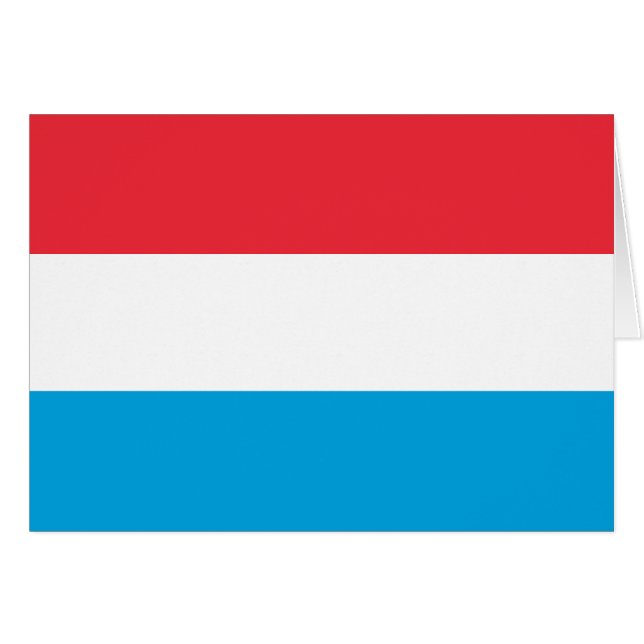 Drapeau du luxembourgeois, Lithuanie (Devant horizontal)