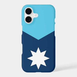 Drapeau du Minnesota