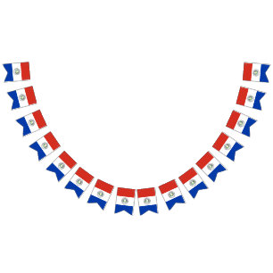 drapeau du Paraguay